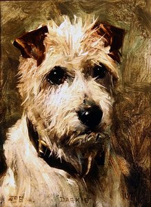 Darkie, 1903 - John Emms
