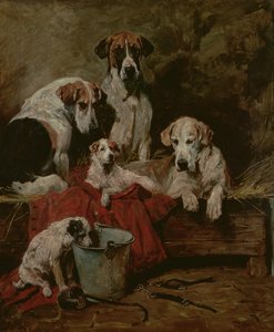 Compagnons de chenil - John Emms