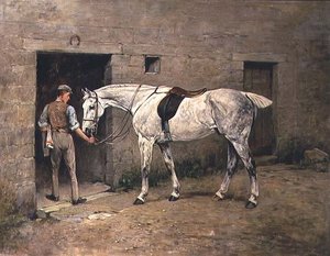 Le gris pommelé et le garçon d
