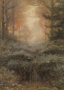 Furze trempé dans la rosée