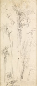 Palmiers - John Everett Millais