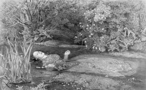 Ophelia, gravé par Alfred Smith (1810-fl.1870s) pub. par Henry Graves & Co., 1864