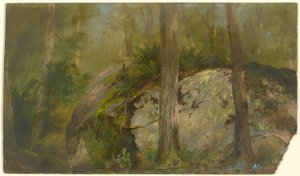 Scène de forêt