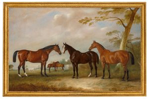 Intrepid, Conqueror et Bay Bolton avec Silkman et Darnley au-delà dans un paysage