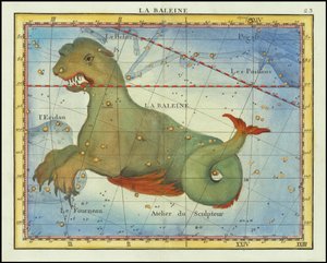 1776 - John Flamsteed - La Baleine (Cetus) - John Flamsteed
