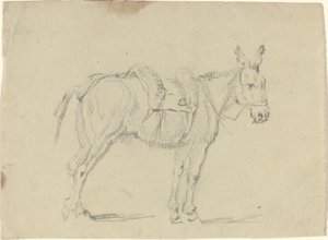 Âne étirant une patte arrière