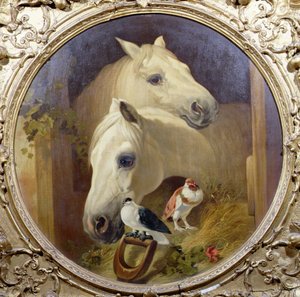 Chevaux près d