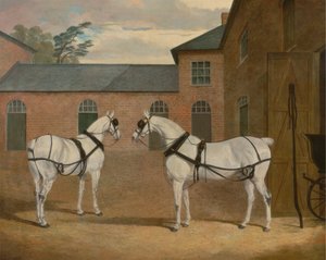 Chevaux gris dans la cour des carrosses à Putteridge Bury, Hertfordshire - John Frederick Herring