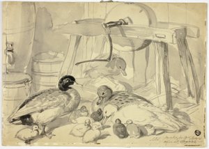 Canards, canetons et meules de pierre