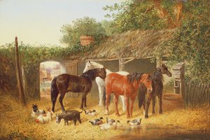 Compagnons de la ferme
