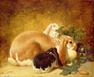 Lapins, 1852
