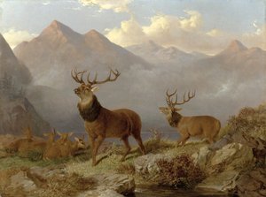 Cerfs et biches dans un paysage des Highlands, 1864 - John Frederick Herring Junior