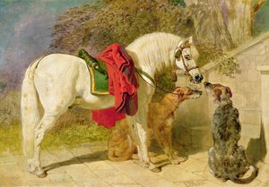 Les Animaux de l