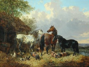 Trois chevaux avec des cochons