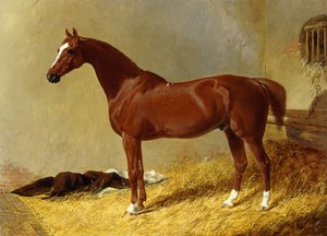 Un cheval de course bai dans un box - John Frederick Herring Senior