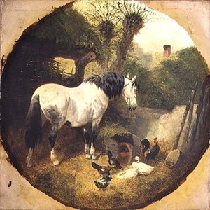 Un cheval de trait mangeant du foin d