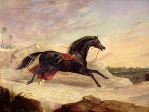 Arabes poursuivant un cheval arabe en liberté dans un paysage oriental - John Frederick Herring Senior