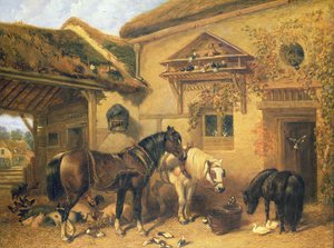 Porte de cottage et ferme