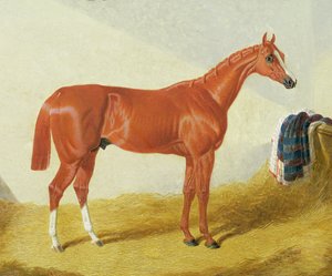 Élis, 1836