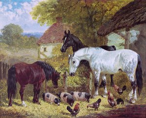 Cour de ferme
