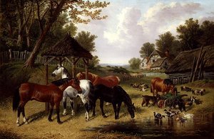 Chevaux près d