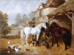 Chevaux dans une cour de ferme