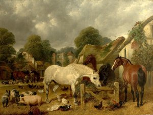 Chevaux dans un paddock