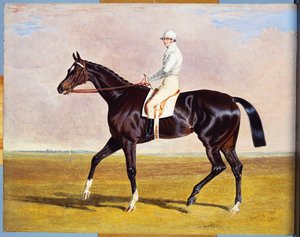 Lucetta avec J. Robinson, 1834