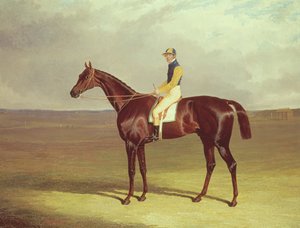 La Canne de M. M. Stanley sur Newmarket Heath, 1833