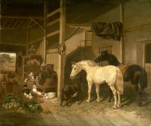 Intérieur d