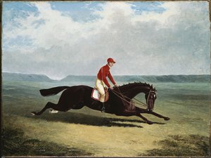 Le Baron avec Bumpy Up, à Newmarket - John Frederick Herring Senior