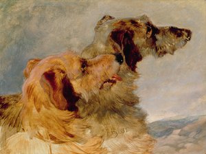 Deux lévriers, 1851 - John Frederick Herring Senior
