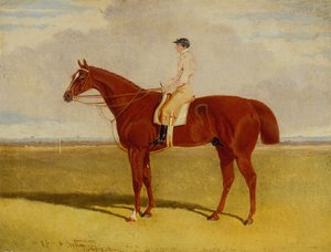Plénipotentiaire avec P. Conolly à six mile bottom, Newmarket - John Frederick Jr. Herring