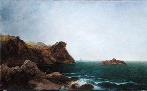 Rocher et rivage de Nahant