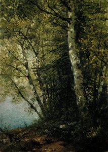 Étude de hêtres, 1872 - John Frederick Kensett