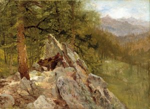 Paysage occidental