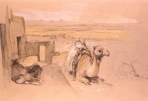 Chameau, Thèbes Ouest - John Frederick Lewis