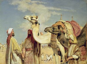 Salutations dans le Désert, Égypte
