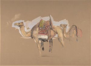 Deux chameaux, vers 1843 - John Frederick Lewis