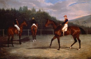 Le départ de la Goodwood Gold Cup - John Frederick Herring Senior