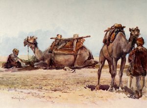 Étude de chameaux et d