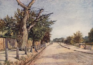 La route des Espagnols, Hampstead - John Fulleylove