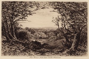 Nouvelle Forêt près du château de Malwood