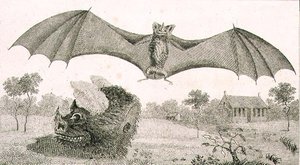 Le vampire ou spectre de la Guyane - John Gabriel (after) Stedman