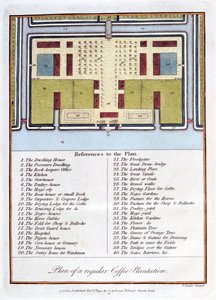 Plan d