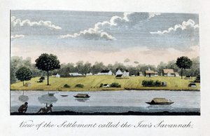 Vue de la colonie appelée la Savannah des Juifs, 1813 - John Gabriel Stedman