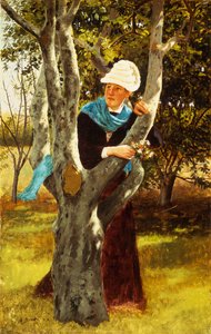 Parmi les arbres