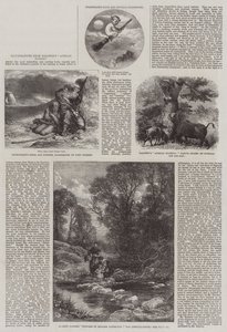 Illustrations de la chasse africaine de Baldwin