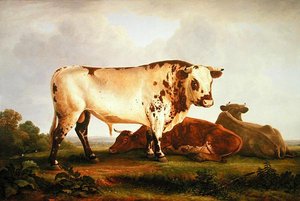 Taureau