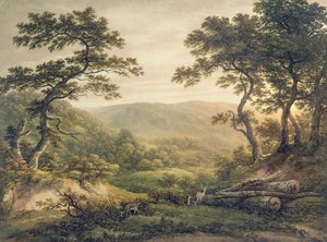 Forêt de Needlewood, Hampshire - John Glover